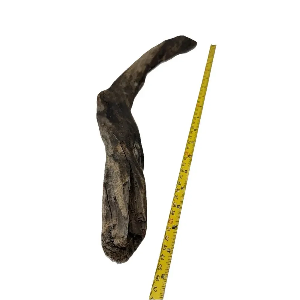 Bent California Driftwood with Burnt Patina & Natural Bend – Sculptural Wood